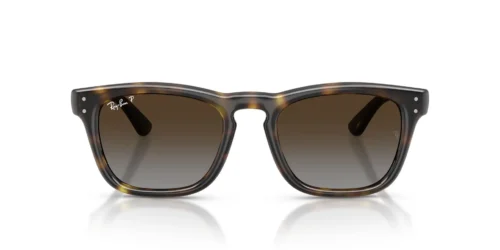 710/T5 - Havana frame / Polarized Light Grey Gradient Brow lenses