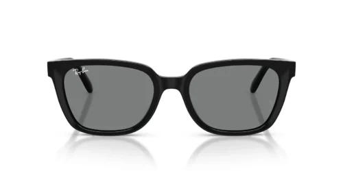 Ray-Ban  RB2243D Dark Grey