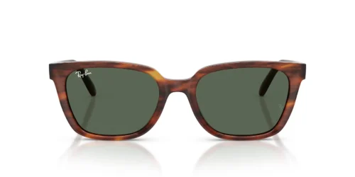 Ray-Ban  RB2243D Dark Green