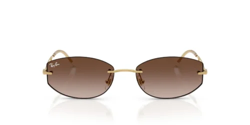 001/13 - Arista frame / Gradient Brown lenses