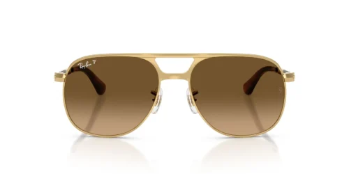 Ray-Ban Bill Max RB3793 Polarized Brown Gradient