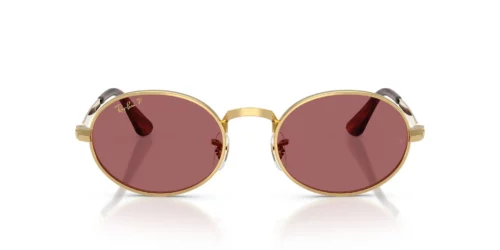 Ray-Ban  RB3931 Purple Polarized