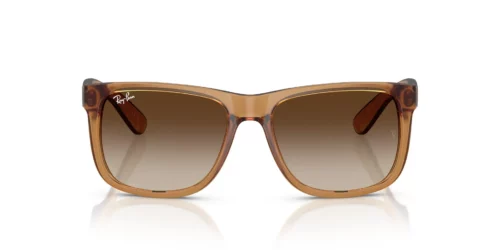 681413 - Rubber Beige frame / Gradient Brown lenses