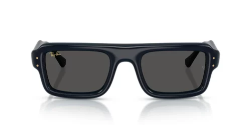 Ray-Ban  RB4954 Ultra Black
