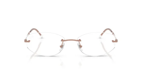 2943 - Monture en cuivre / Verres transparents