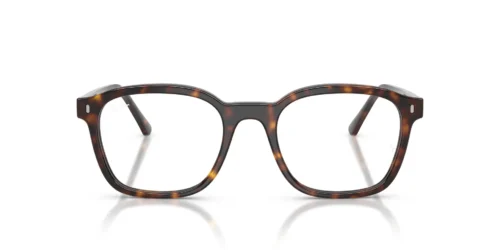 2012 - Havana frame / Clear lenses
