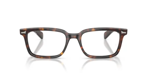 2012 - Havana frame / Clear lenses