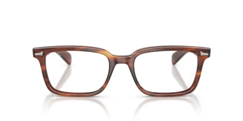 2144 - Striped Havana frame / Clear lenses