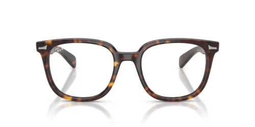 2012 - Havana frame / Clear lenses