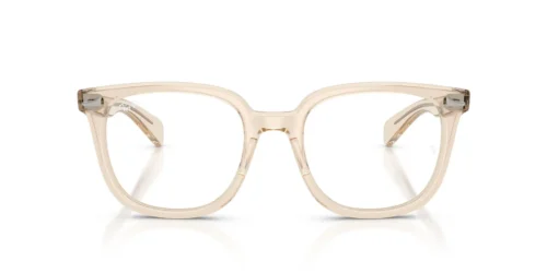 8539 - Transparent Nude frame / Clear lenses