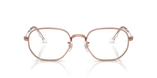 2943 - Copper frame / Clear lenses