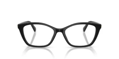 1001 - Black frame / Clear lenses