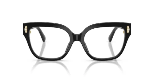 Swarovski  SK2076U Black Frame