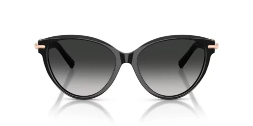 Tiffany  TF4261 Grey Gradient