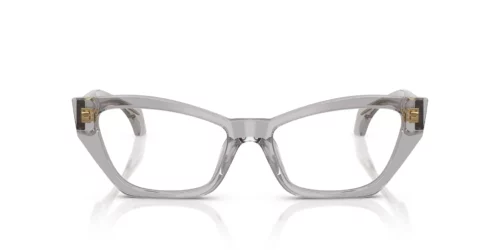 Versace  VE3373U Light Transparent Grey