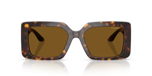 Versace VE4505U Bruin Gepolariseerd