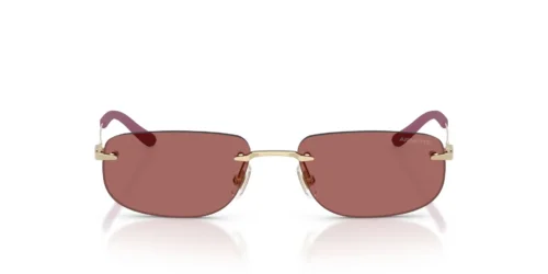 748/69 - Light Gold frame / Dark Violet lenses