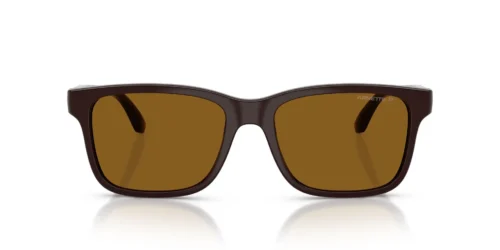 302783 - Chocolate frame / Dark Brown Polarized lenses