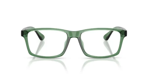 8423 - Shiny Transparent Green frame / Clear lenses