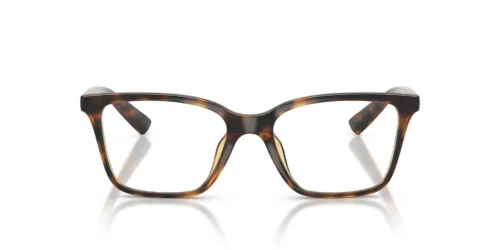 8213 - Shiny Havana frame / Clear lenses