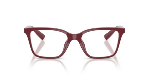 8387 - Shiny Bordeaux frame / Clear lenses