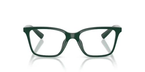 Armani Exchange AX3146U Shiny Green Frame