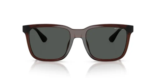 835887 - Shiny Transparent Brown frame / DARK GREY lenses