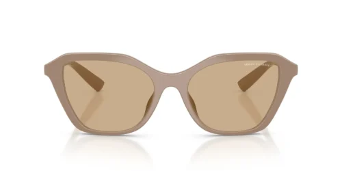 841573 - Shiny Beige frame / Dark Brown lenses