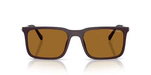 841883 - Matte Brown frame / Bronze Polarized lenses