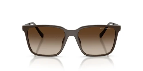 842213 - Shiny Brown frame / Brown Gradient lenses