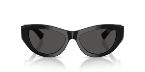 300187 - Black frame / DARK GREY lenses