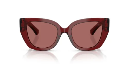 419269 - Bordeaux frame / Dark Violet lenses