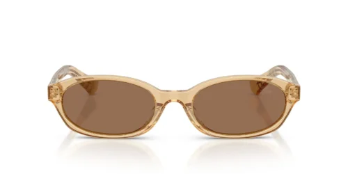 416773 - Yellow frame / Dark Brown lenses