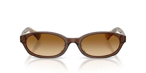 424313 - Brown frame / Brown Gradient lenses