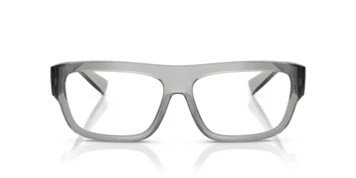 3160 - Transparent Grey frame / Clear lenses