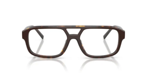 Diesel  DL4029U Brown Frame