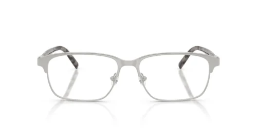 1001 - Shiny Silver frame / Clear lenses