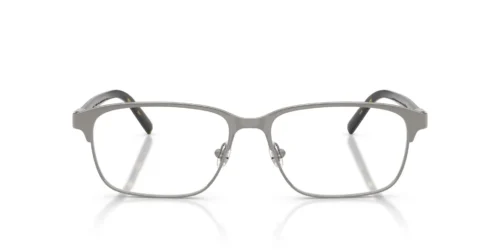 1003 - Shiny Gunmetal frame / Clear lenses