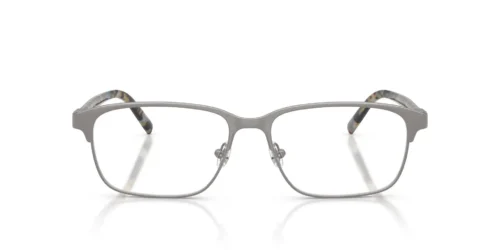 Diesel  DL5014 Matte Gunmetal Frame