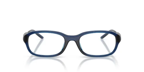 Diesel  DL6015U Blu Frame