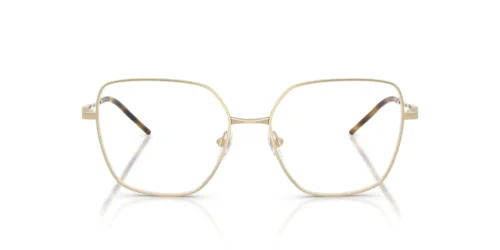 3013 - Montura oro pálido brillante / Lentes transparentes