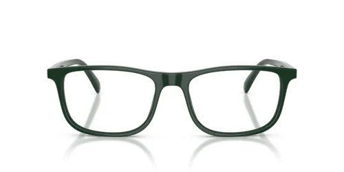 6173 - Shiny Green frame / Clear lenses