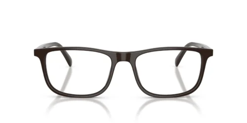 6452 - Shiny Brown frame / Clear lenses