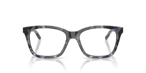 6460 - Montura gris habana brillante / Lentes transparentes