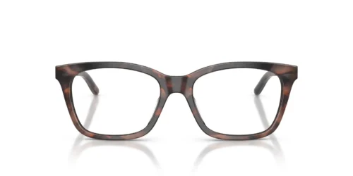 6461 - Montura Havana Tundra brillante / Lentes transparentes