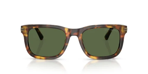 599371 - Shiny Havana Brown frame / DARK GREEN lenses