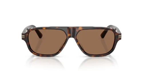 Emporio Armani EA4285U Dunkelbraun