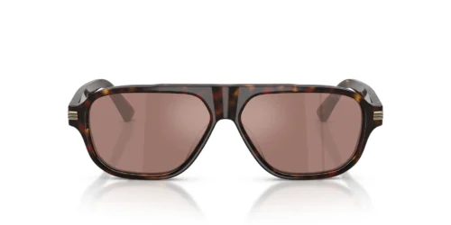 Emporio Armani  EA4285U Brown Mirror Internal Silver