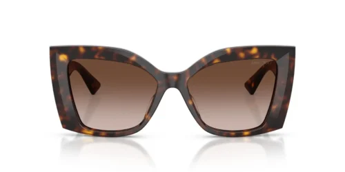 500213 - Havana frame / Brown Gradient lenses
