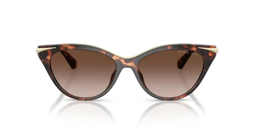 403113 - Luggage Tortoise frame / Brown Gradient lenses